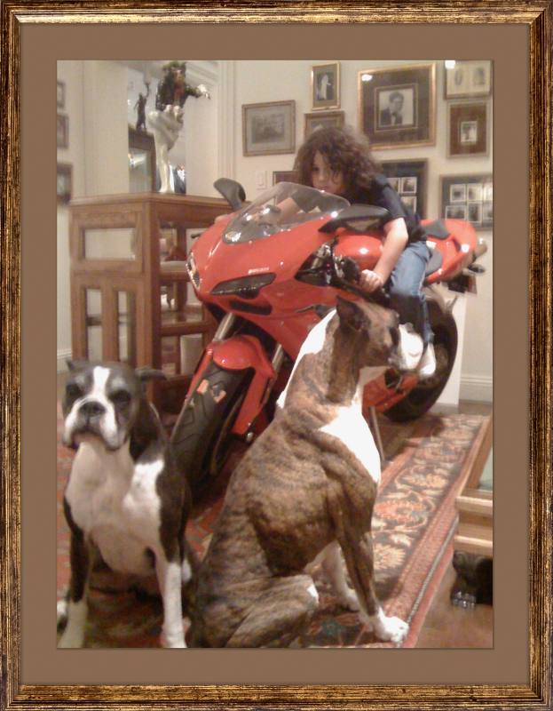 Framed photo, young Miguel on a red Ducati with the family boxers